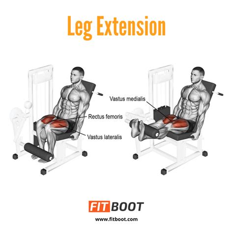 Leg Extension: How To, Benefits, Variations, & Muscles Worked