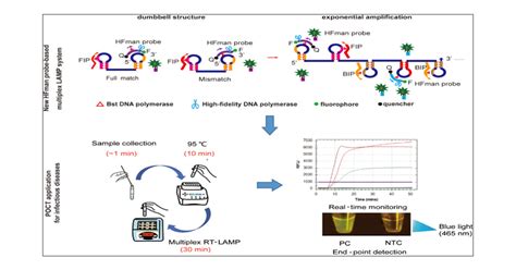 Multiplex, Real-Time, Point-of-care RT-LAMP for SARS-CoV-2 Detection ...