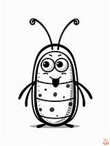 Pill Bug Coloring Pages sketch template