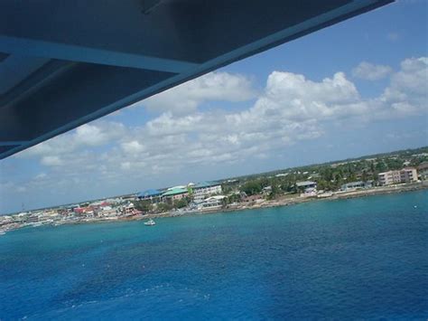DSC02286, Cayman Islands | Even without their idyllic settin… | Flickr