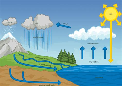 What is runoff? - Answered - Twinkl Teaching Wiki - Twinkl