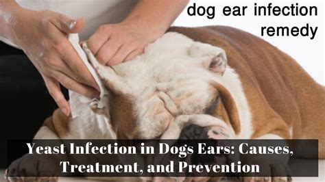 Ear Infection Symptoms Causes And Treatment