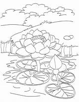 Pond Coloring Pages Homes Kids Printable Color Ponds Colouring Outline  sketch template