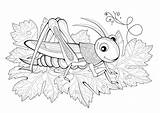 Very Quiet Cricket Book Page Coloring Pages sketch template