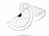 Grapefruit Cut See Coloring Page For Kids  Free Printable sketch template