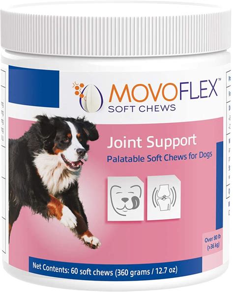 Top 5 Joint Supplements For Dogs in 2024 | PupGrade Blog