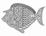 Unicorn Fish Zentangle Coloring Page By Pamela Kennedy  TpT sketch template