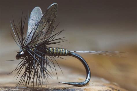 Quill Body Mayfly Fly Tying Tutorial by The Fly Fiend - FrostyFly