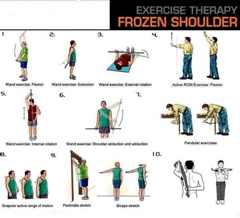 Pin by Vero on Exercises Veronica | Frozen shoulder, Shoulder exercises physical therapy ...