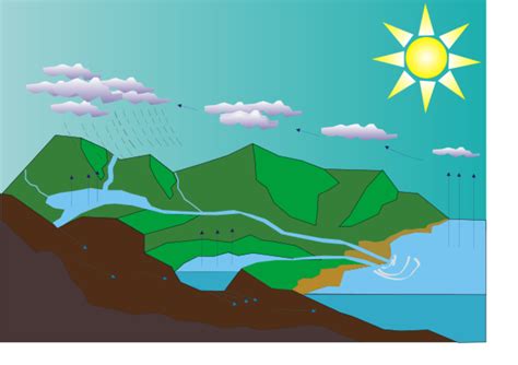 Label The Water Cycle Diagram