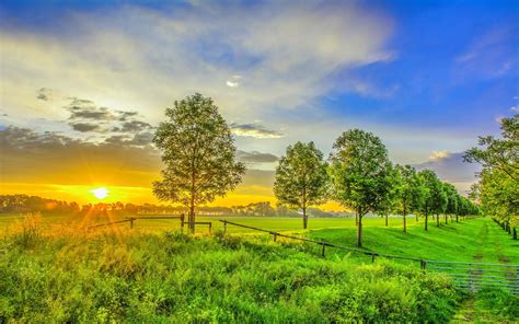 Green Sunrise Wallpapers - Top Free Green Sunrise Backgrounds - WallpaperAccess