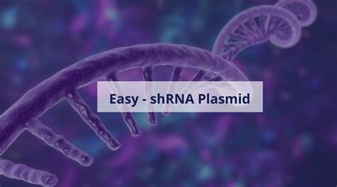 Easy - shRNA Plasmid