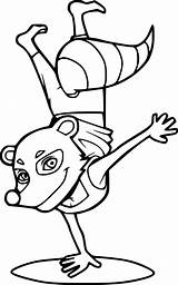 Amazing Raccoon Coloring Page  Download Print Or Color Online For Free sketch template
