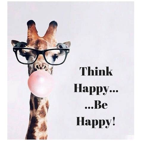 Be Happy! | Giraffe quotes, Giraffe pictures, Giraffe