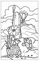 Desert Plant Coloring Pages sketch template