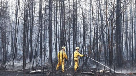 Canada wildfires: Facemasks handed out in New York for smoke - BBC ...