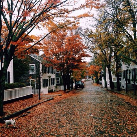 Fall in Nantucket | Scenery, Autumn aesthetic, Autumn inspiration