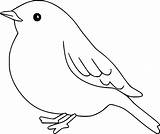 Adorable Robin Bird coloring Page  Download Print Or Color Online For sketch template