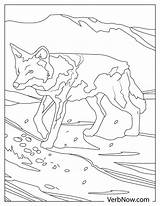 Free COYOTE Coloring Pages For Download Printable PDF sketch template