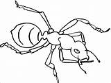 Ant Coloring Page For Toddlers  ColoringBay sketch template