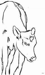 coloring Page And Line art  Cow Pages Dog sketch template