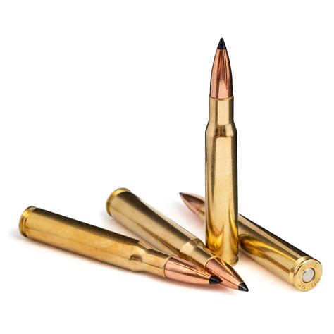 30-06 Springfield - Steinel Ammunition Co.