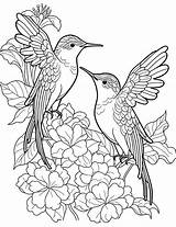 Flying Bird Coloring Pages sketch template