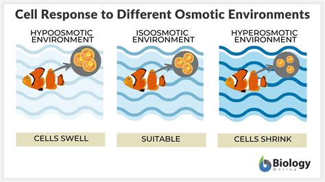 Osmotic Pressure