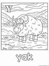 Letter Y For Yak Coloring Page Learning Alphabet And Colors Kid  sketch template