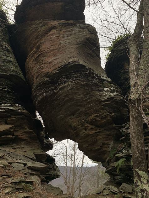 Panther Run Trail - Pennsylvania | AllTrails