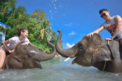 Elephant Swim at Lucky Beach | Thailand - KKday