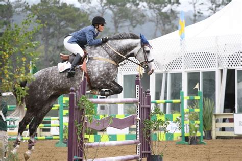 a man riding on the back of a horse over an obstacle