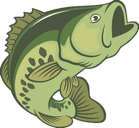 bass clip art 20 free Cliparts | Download images on Clipground 2024