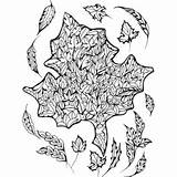 Amazoncom Creative Haven Deluxe Edition Four Seasons Coloring Book  sketch template