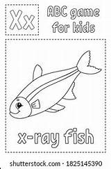 388 X Ray Coloring Page Images Stock Photos & Vectors  Shutterstock sketch template
