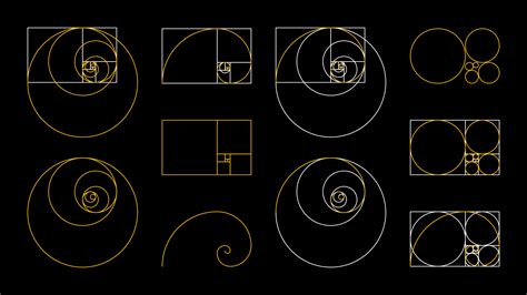 Golden Ratio Fibonacci set. A spiral for harmony, composition, logos and designs. Correct ...