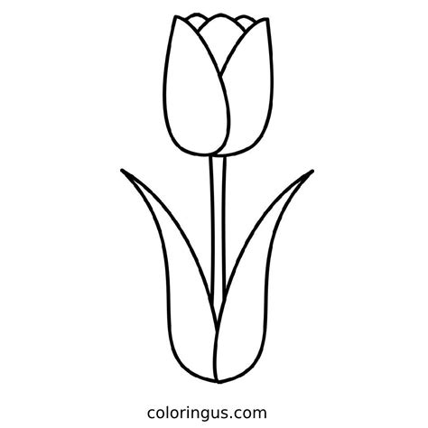 Tulip Coloring Pages (Free Printable PDF Sheets)