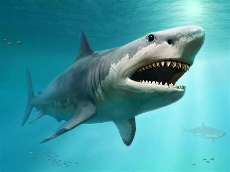 Finally Revealed: Gargantuan True Size of Legendary Prehistoric Mega-Shark Megalodon