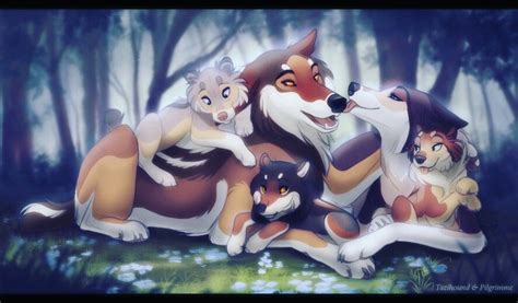 Pin by AeonNovasaF on Tazihound | Anime wolf drawing, Cute animal ...