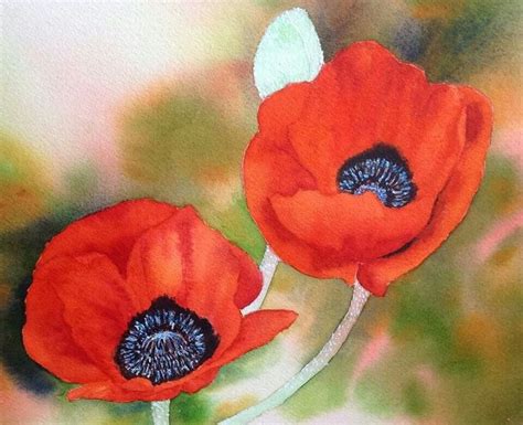 Watercolor Poppies flowers | Watercolor poppies, Watercolor flowers, Poppy flower