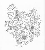 Coloring Birds Pages sketch template
