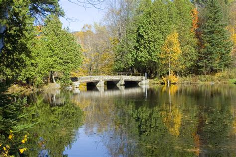 Free Images : tree, water, nature, bridge, leaf, lake, river, stone ...