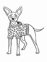 Miniature Pinscher Coloring Page  Funny Pages sketch template