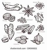 Spices Drawing Royalty Free Images Stock Photos & Pictures  Shutterstock sketch template