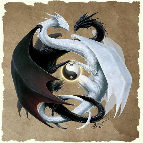 Black and white | Yin yang tattoos, Fantasy dragon, Double dragon