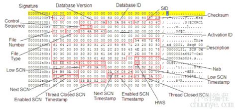 Oracle RedoLog-二进制格式分析，文件头，DML，DDL - 灰信网（软件开发博客聚合）