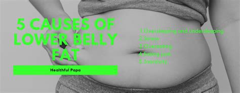 5 basic causes of lower belly fat - Healthful Papa