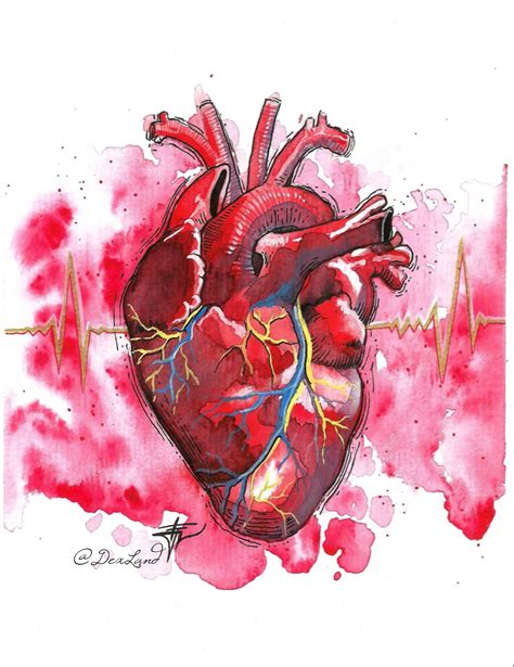 Real Heart Dibujos De Corazones Arte De Anatomia Corazones – Themeloader