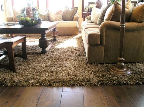 Wash Instructions For Your Shag Rugs | Rugs in living room, Shag rug living room, Round carpet ...