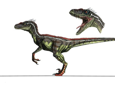 JP3 Male Velociraptor by yankeetrex on DeviantArt